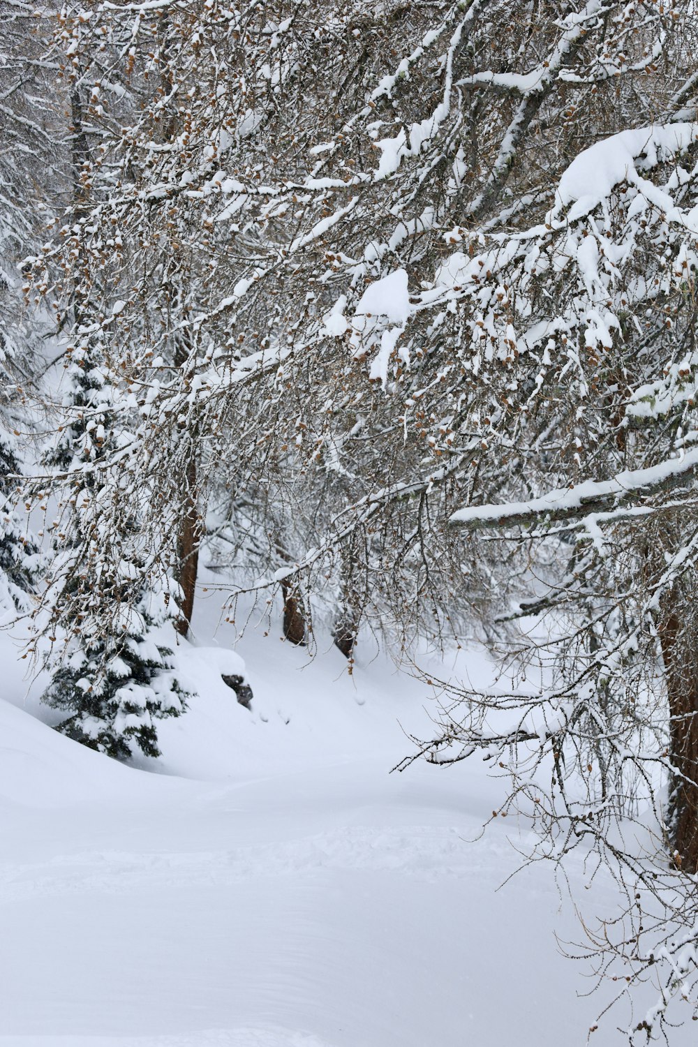 a person riding skis down a snow covered slope