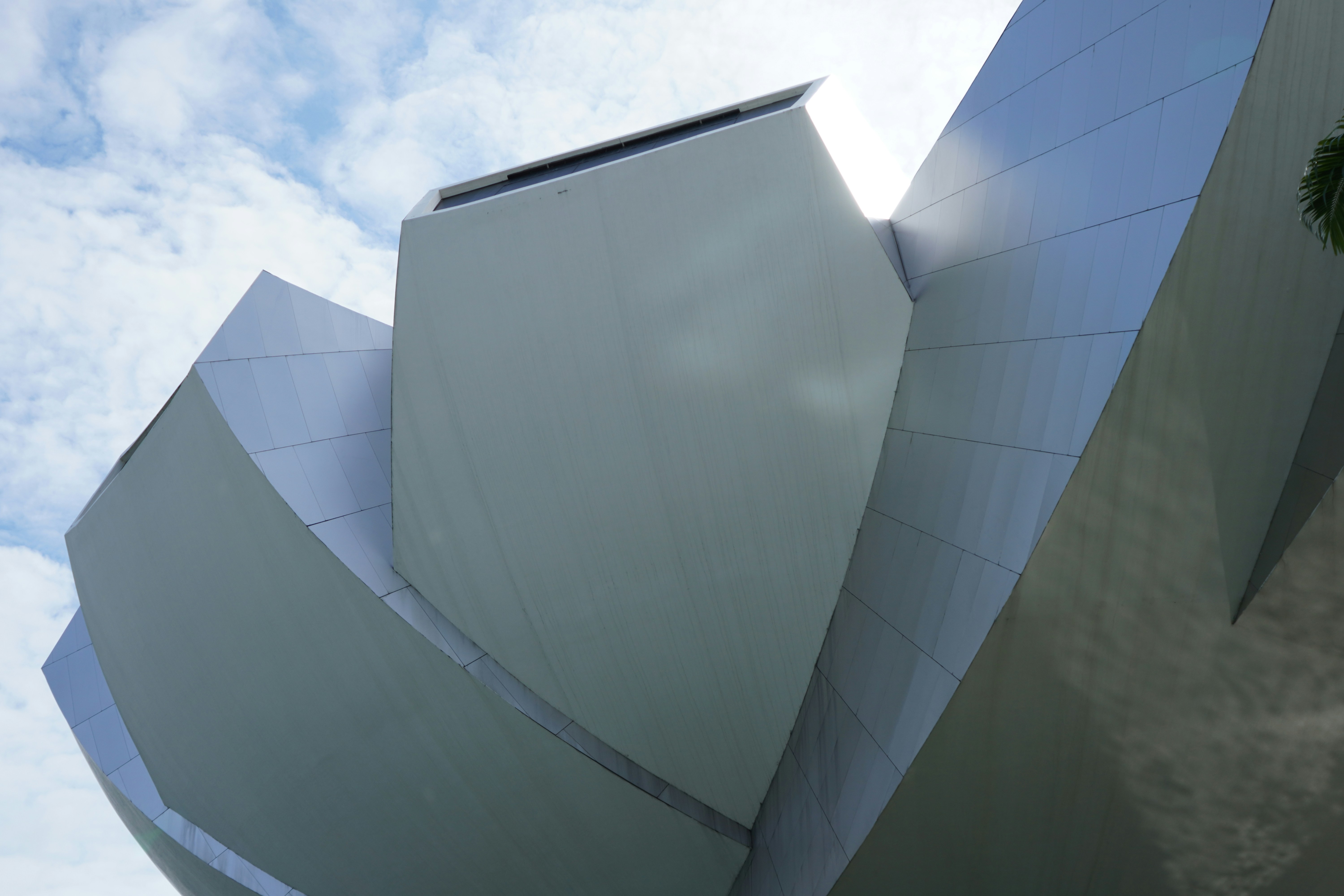 Photo by caillouhuang