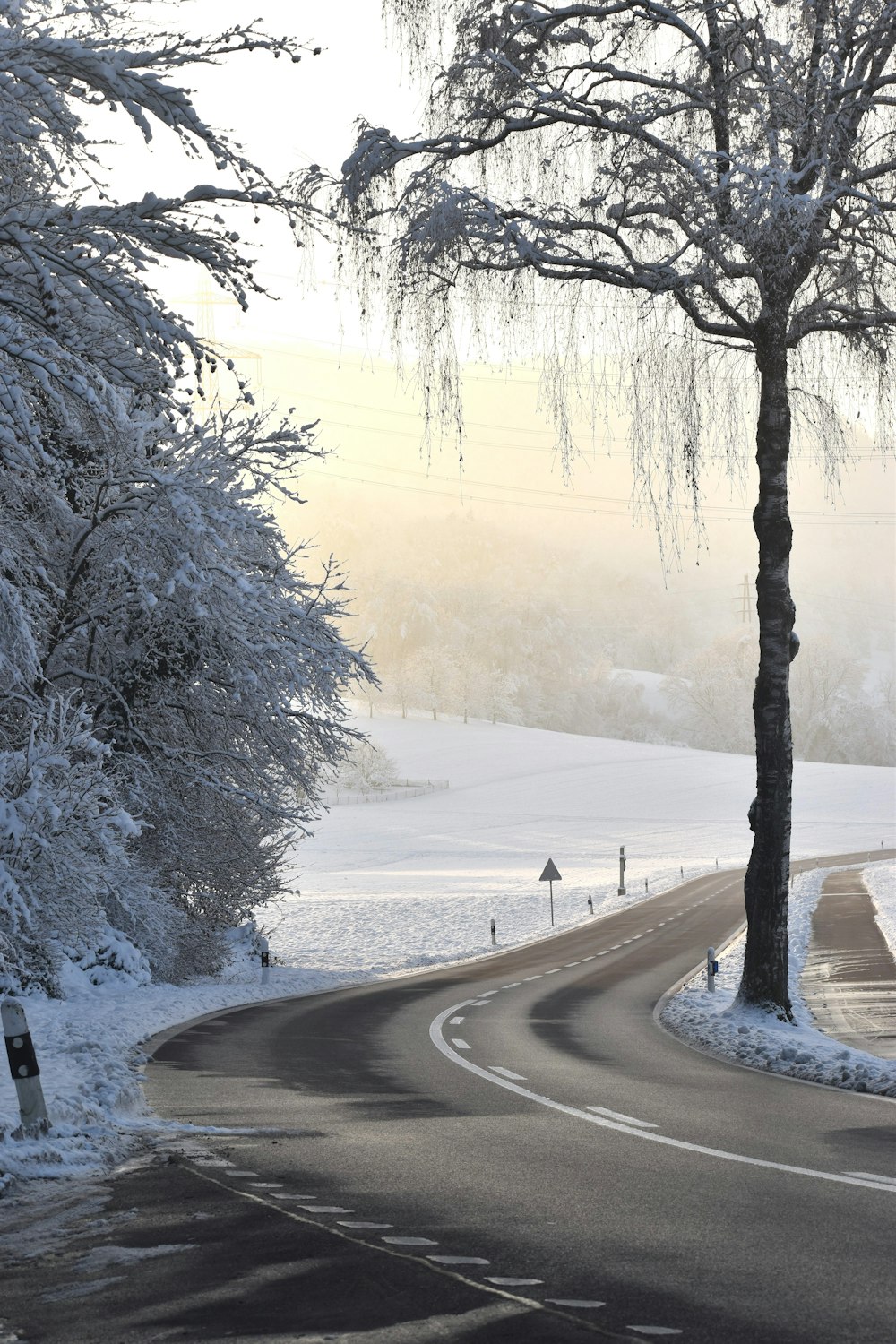 a winding road in the middle of a snow covered field