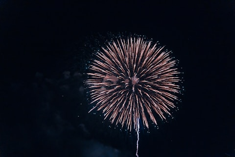 a fireworks is lit up in the dark sky