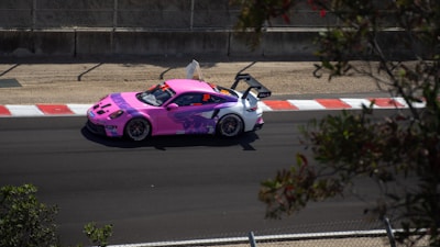 A vibrant pink and purple race car drives on a track with a distinctive spoiler and the number 33 displayed. It moves past a section with red and white rumble strips, and the surrounding scenery includes a sandy area and some greenery at the foreground edges.