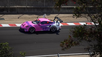 A vibrant pink and purple race car drives on a track with a distinctive spoiler and the number 33 displayed. It moves past a section with red and white rumble strips, and the surrounding scenery includes a sandy area and some greenery at the foreground edges.