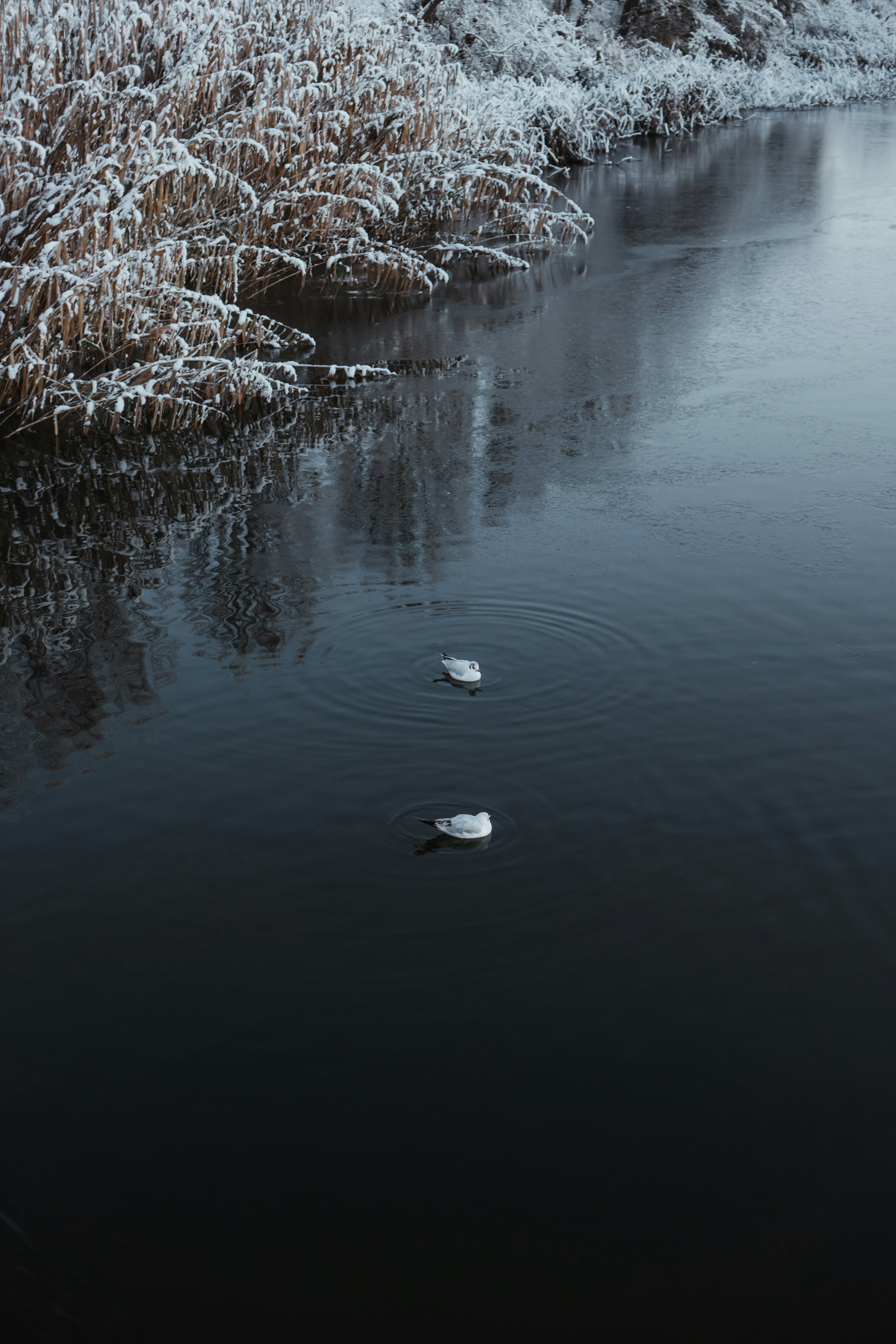 Photo by p_kuzovkova