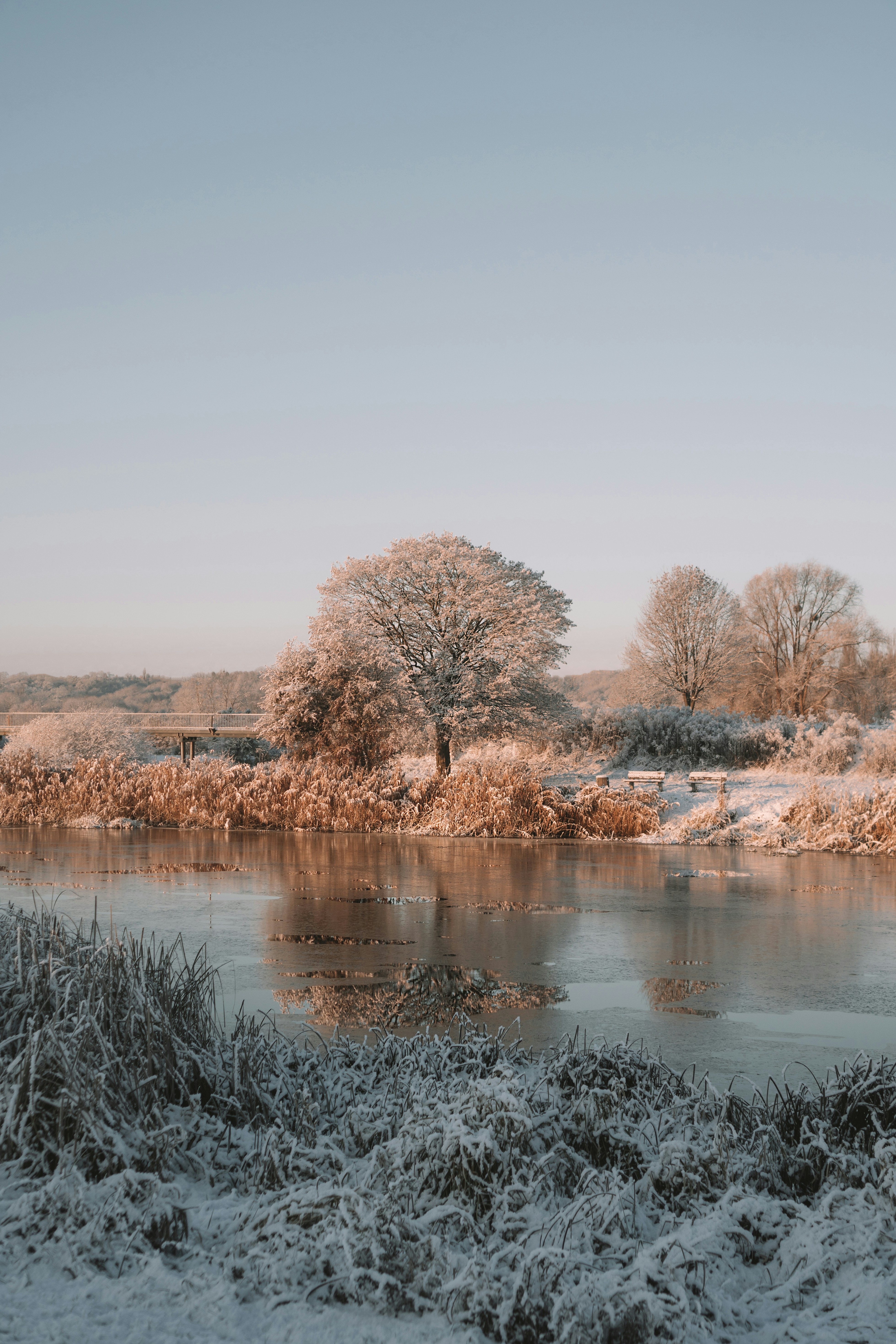 Photo by p_kuzovkova