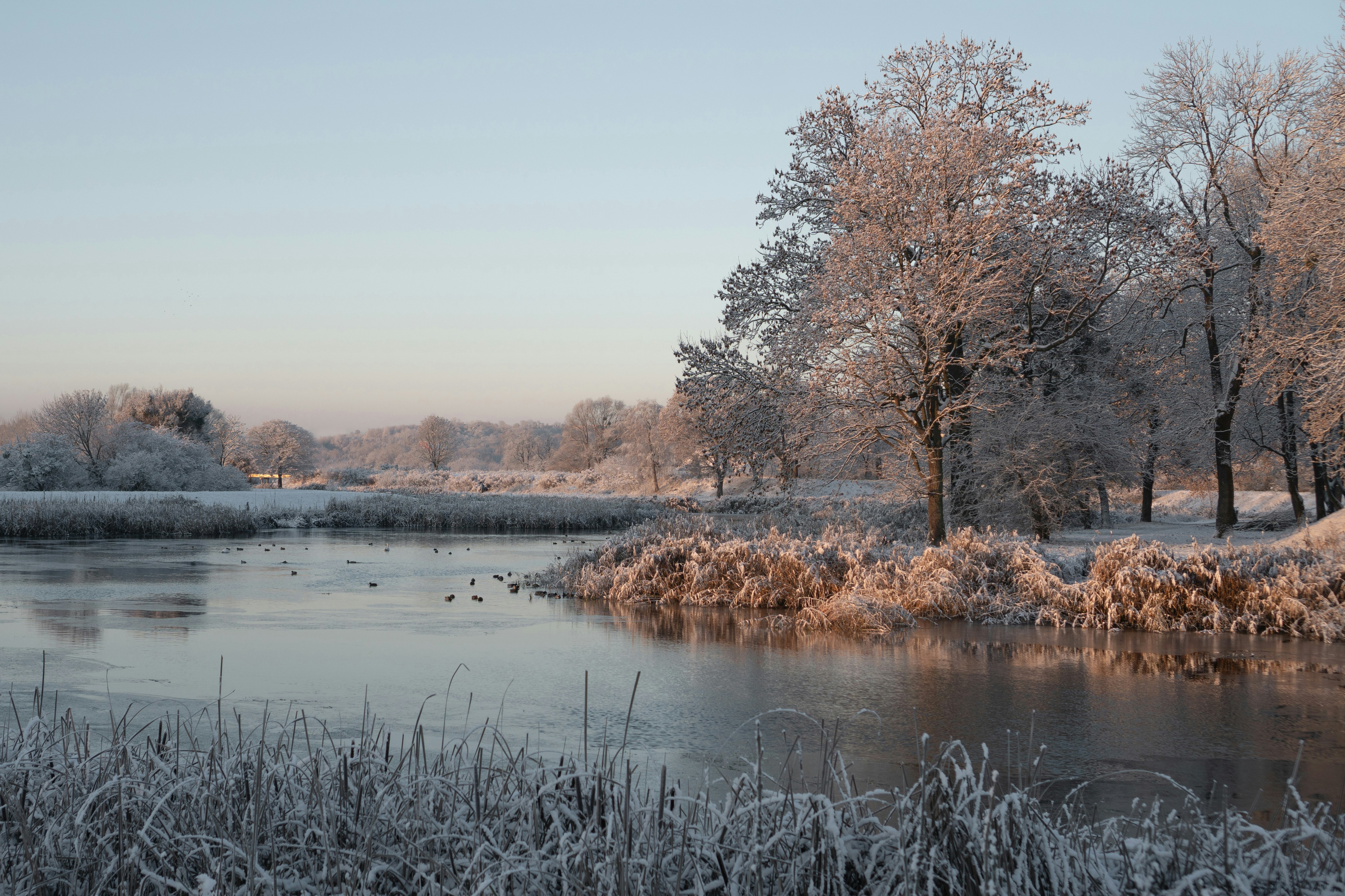 Photo by p_kuzovkova