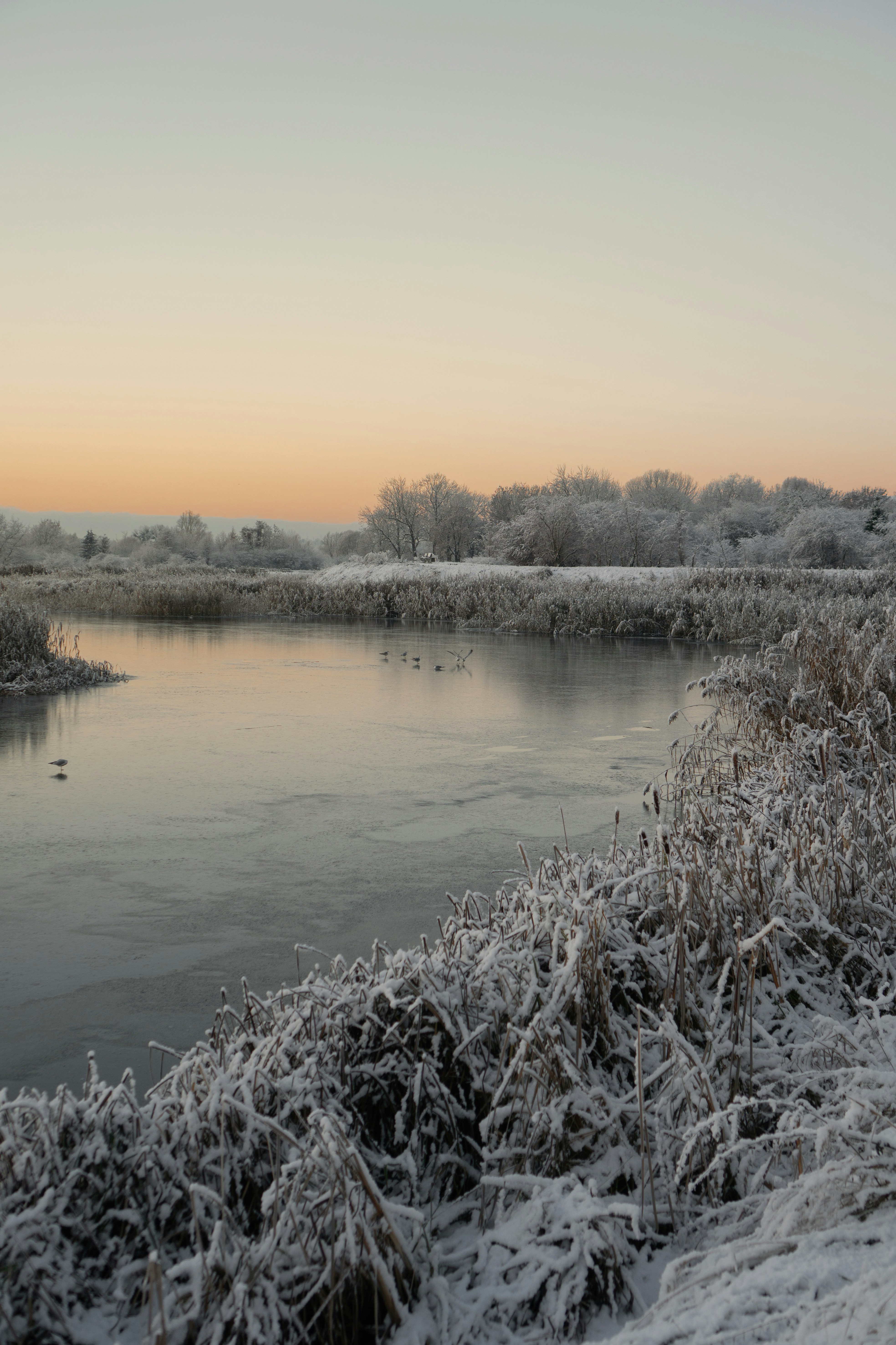 Photo by p_kuzovkova