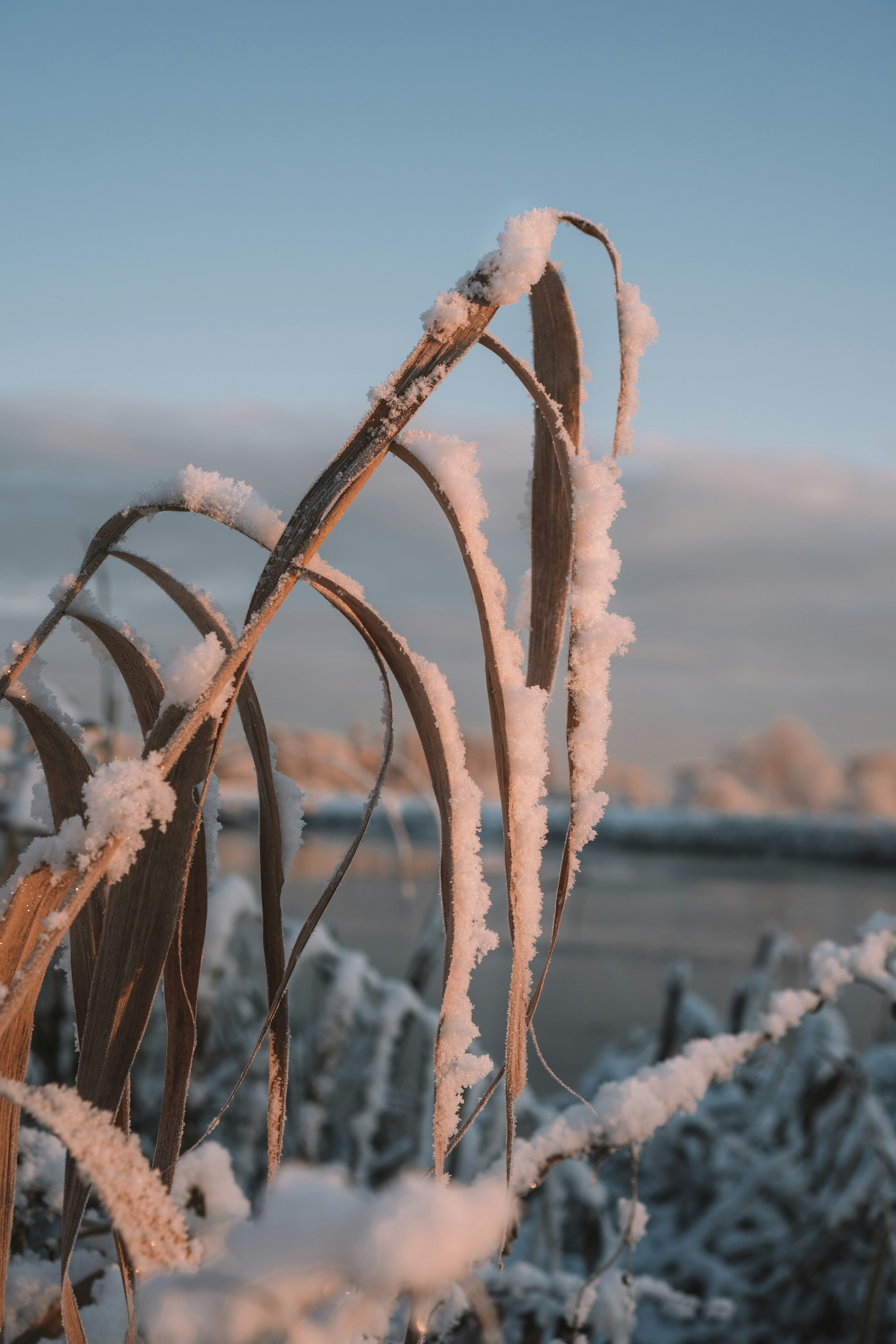 Photo by p_kuzovkova