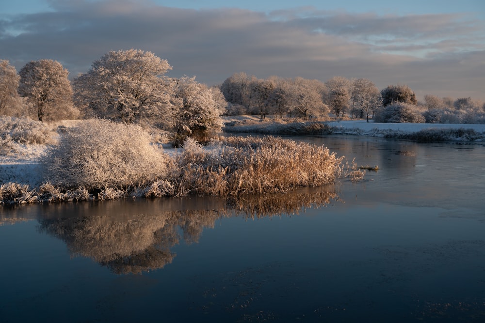 a body of water surrounded by trees covered in snow