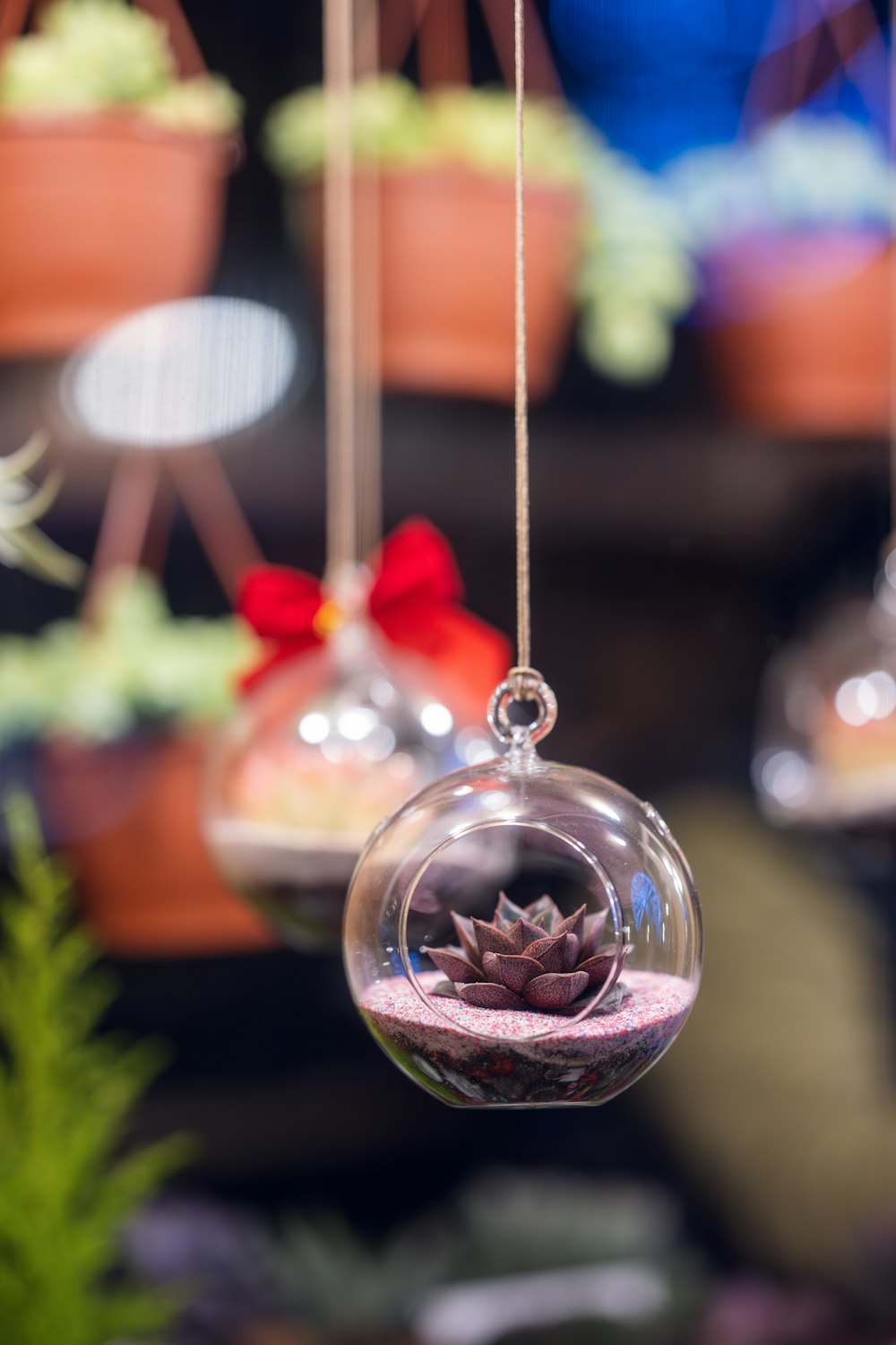 a glass ornament with a succulent inside of it