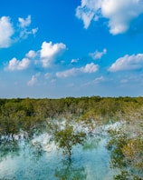 a large body of water surrounded by trees