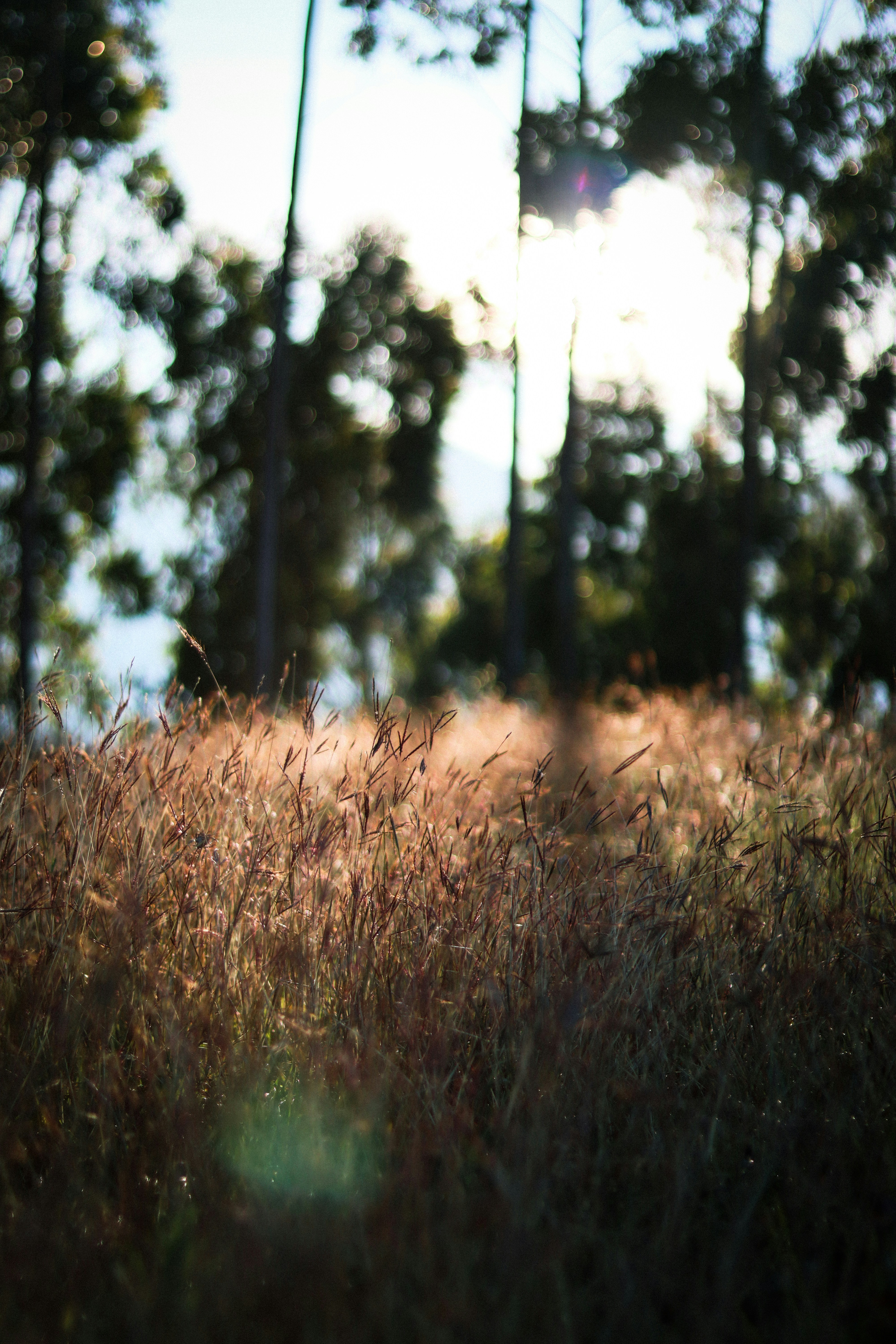 Photo by tonyzebastian