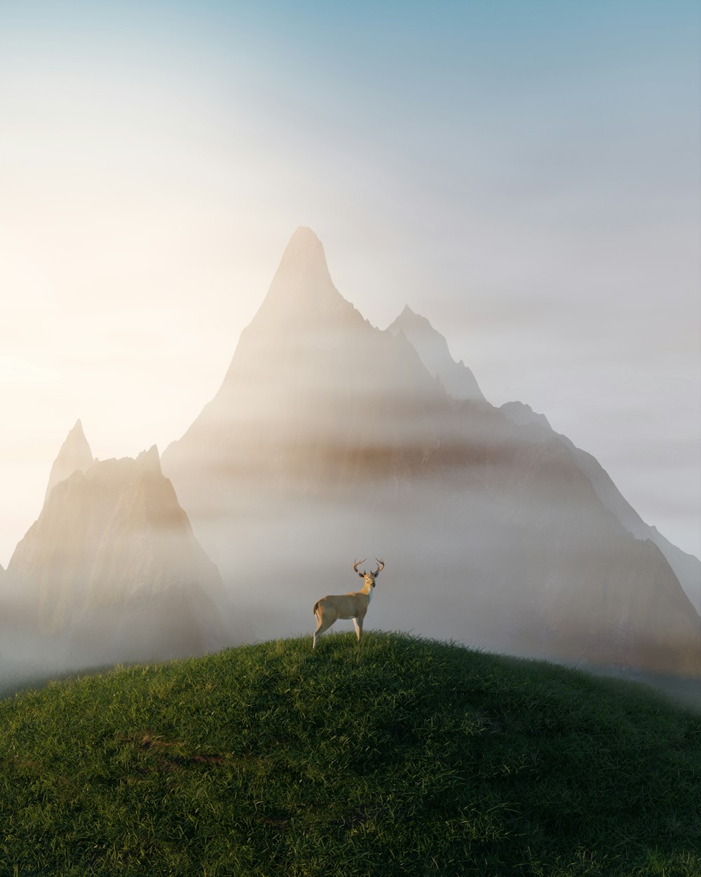 a deer standing on top of a lush green hillside