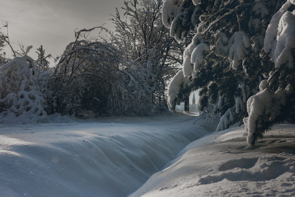 a person riding skis down a snow covered slope