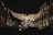 An illuminated angel decoration with outstretched wings is hung between two rows of ornate historical buildings at night. The angel is crafted from numerous small lights, creating a sparkling display. The scene is festive and vibrant, suggesting a holiday or celebratory occasion.