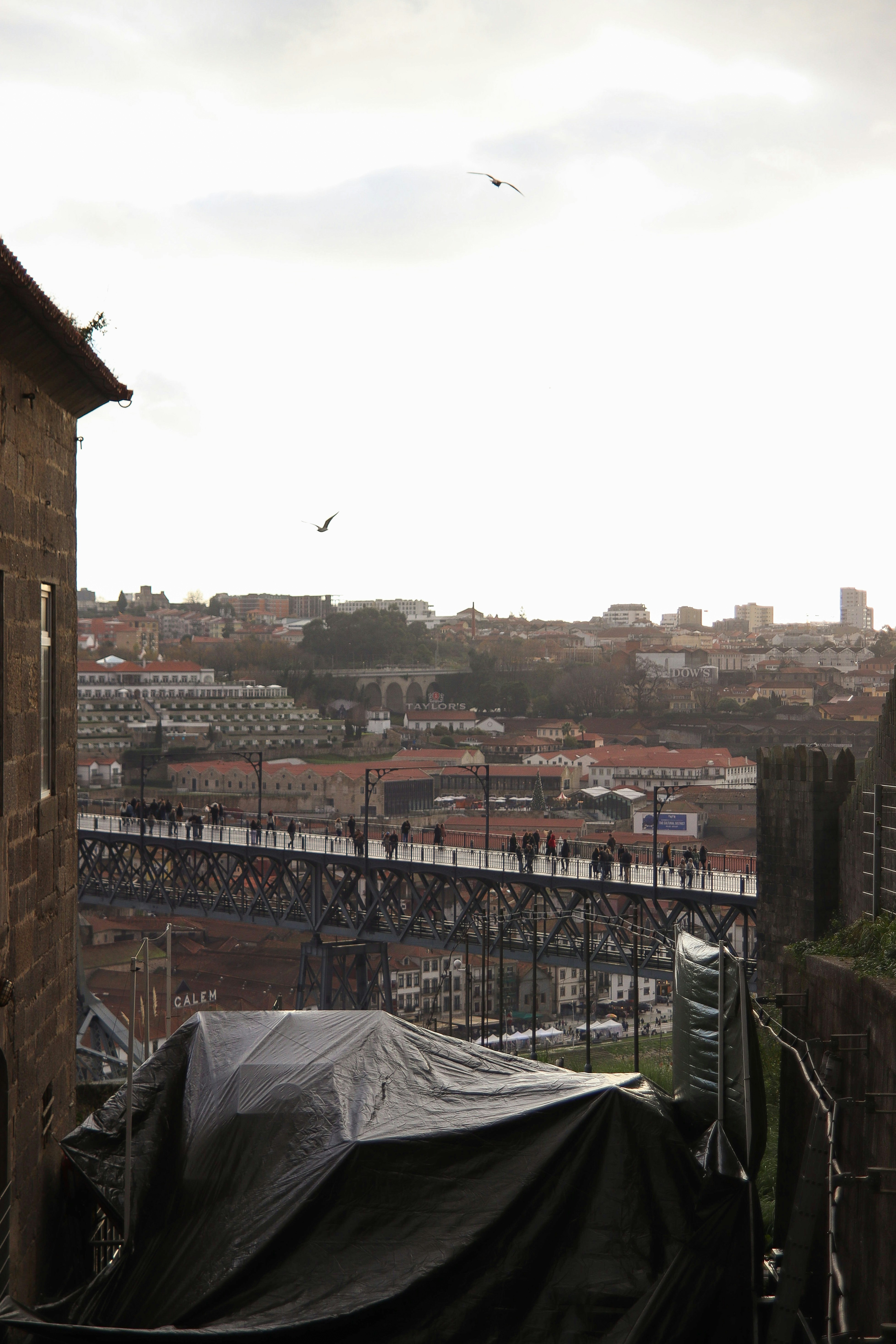 a view of a city with a bridge in the background