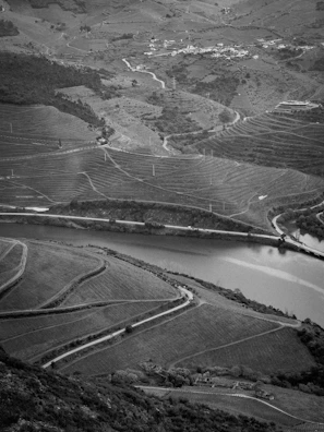 An expansive aerial view of terraced vineyards curving gracefully along the contours of a lush valley. A tranquil river meanders through the scene, reflecting the gentle light. A small settlement is nestled among the hills in the distance, with roads winding through the landscape, intersecting at various points.
