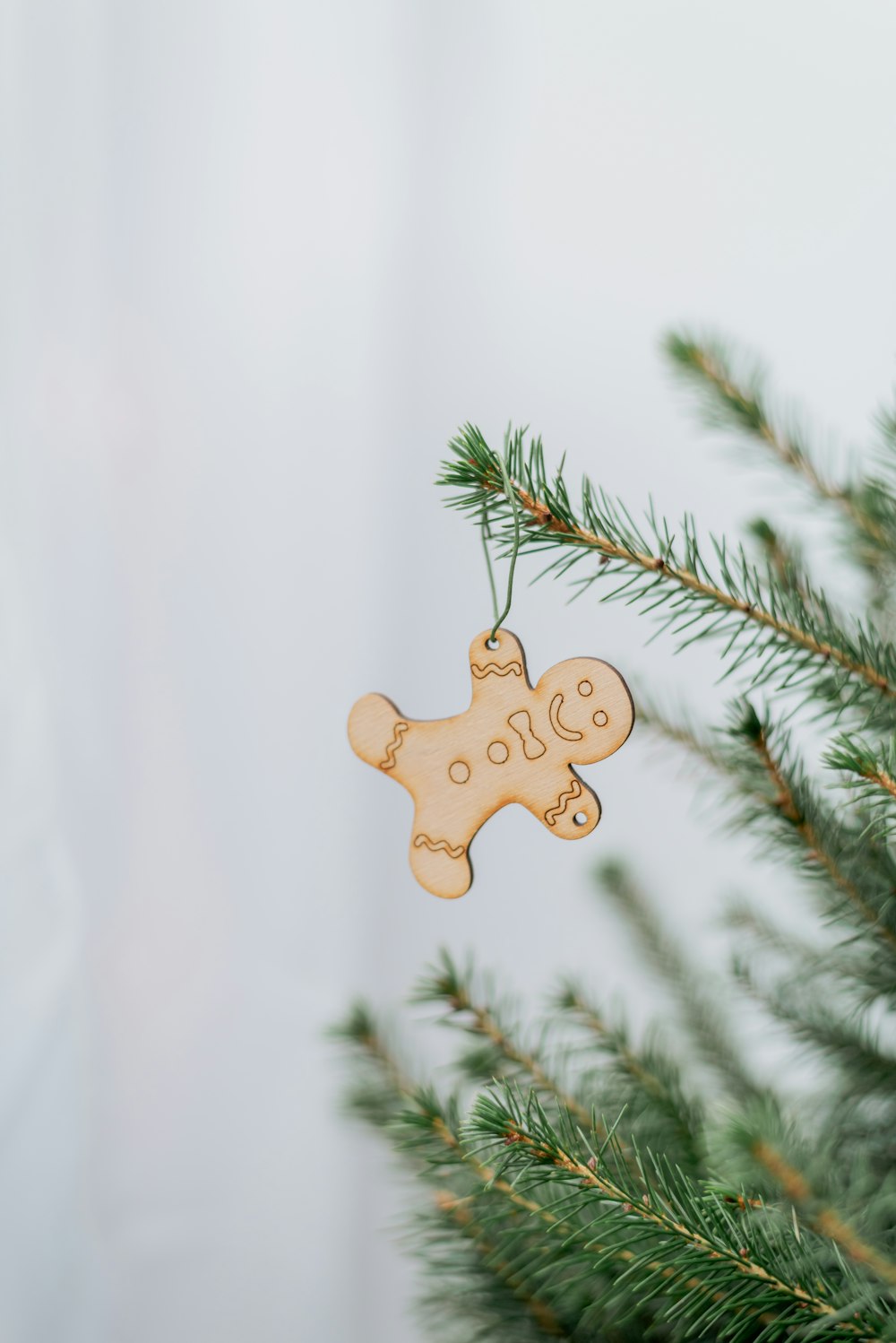 a wooden ornament hanging from a pine tree