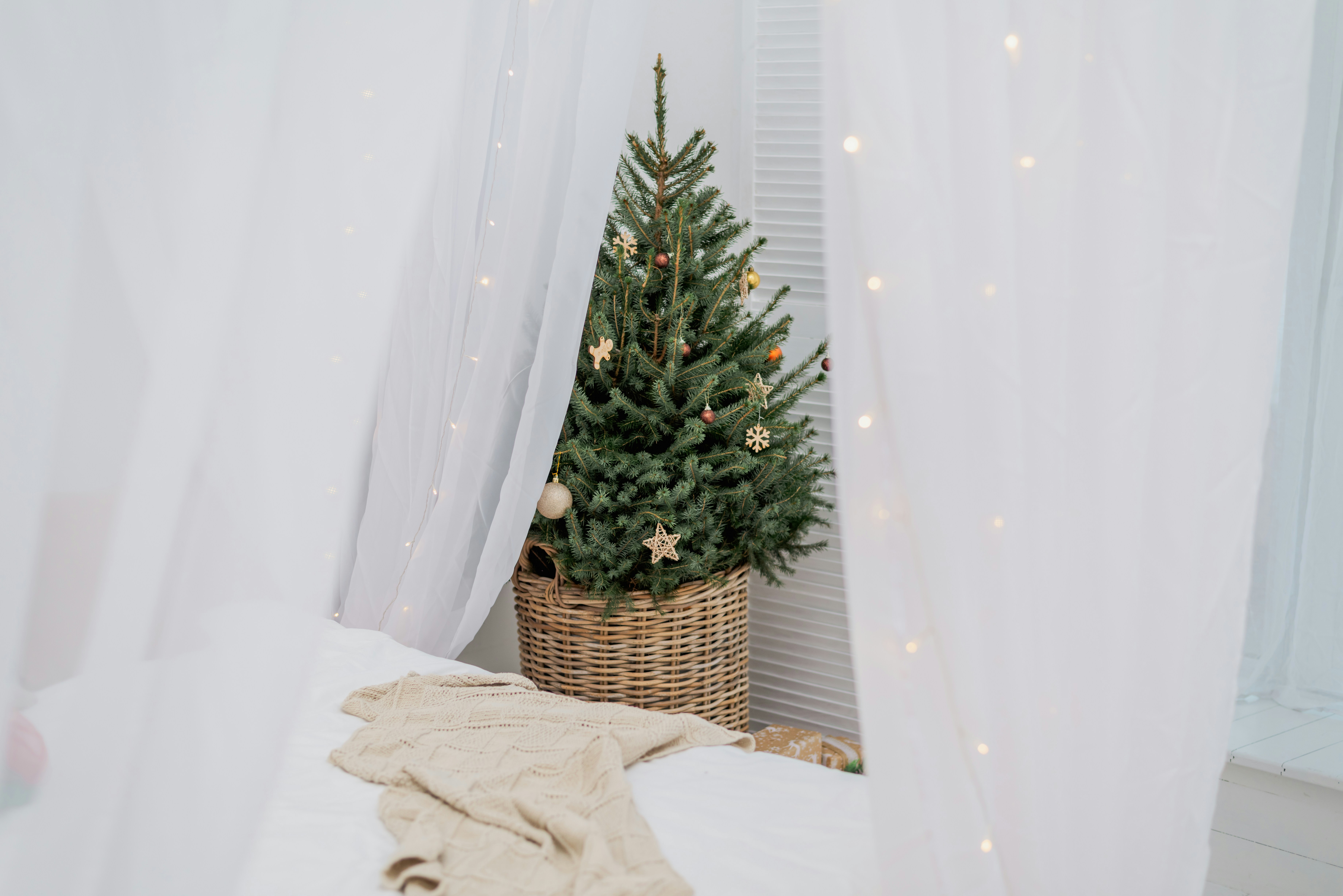 Un petit sapin de Noël dans un panier en osier sur un lit photo Photo Ukraine Gratuite sur