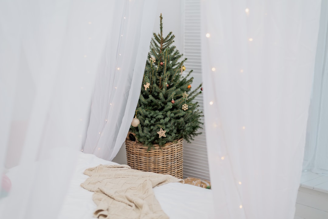 A Small Christmas Tree In A Wicker Basket On A Bed - unsplash