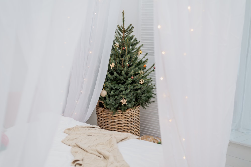 a small christmas tree in a wicker basket on a bed