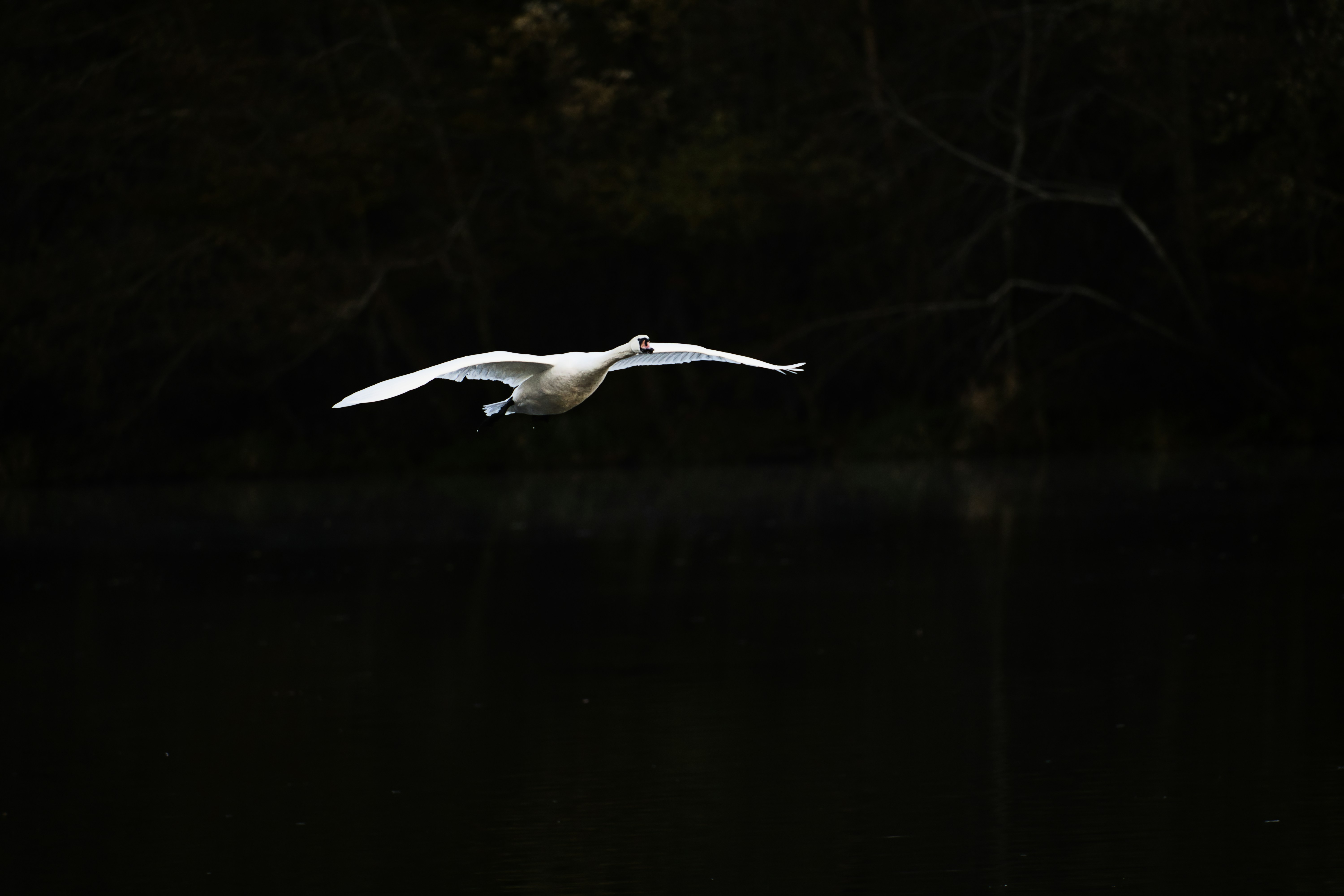 Photo by rathaa