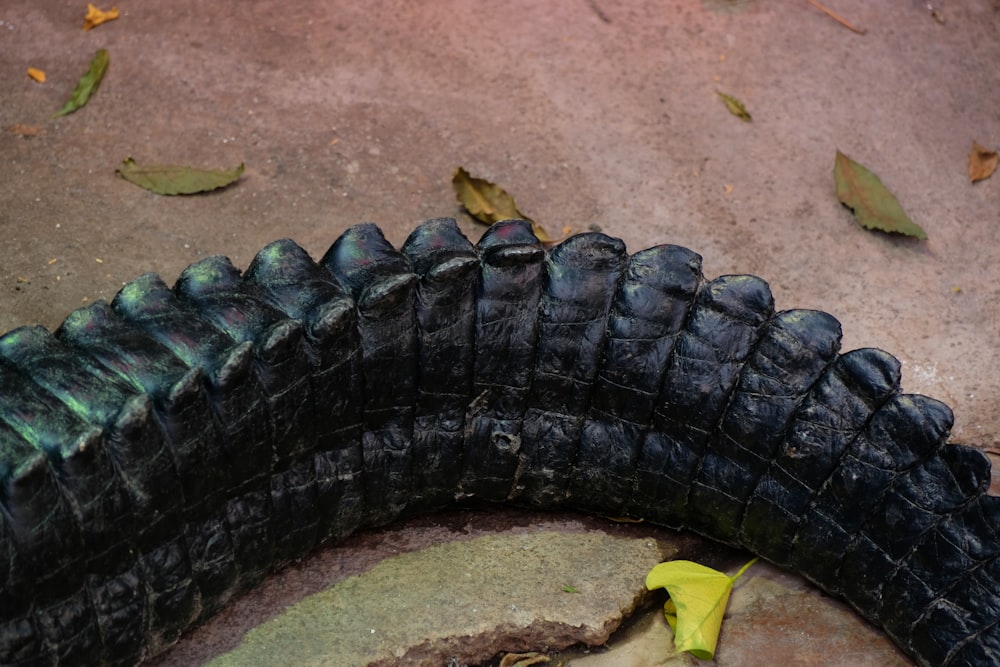 a close up of a tire laying on the ground