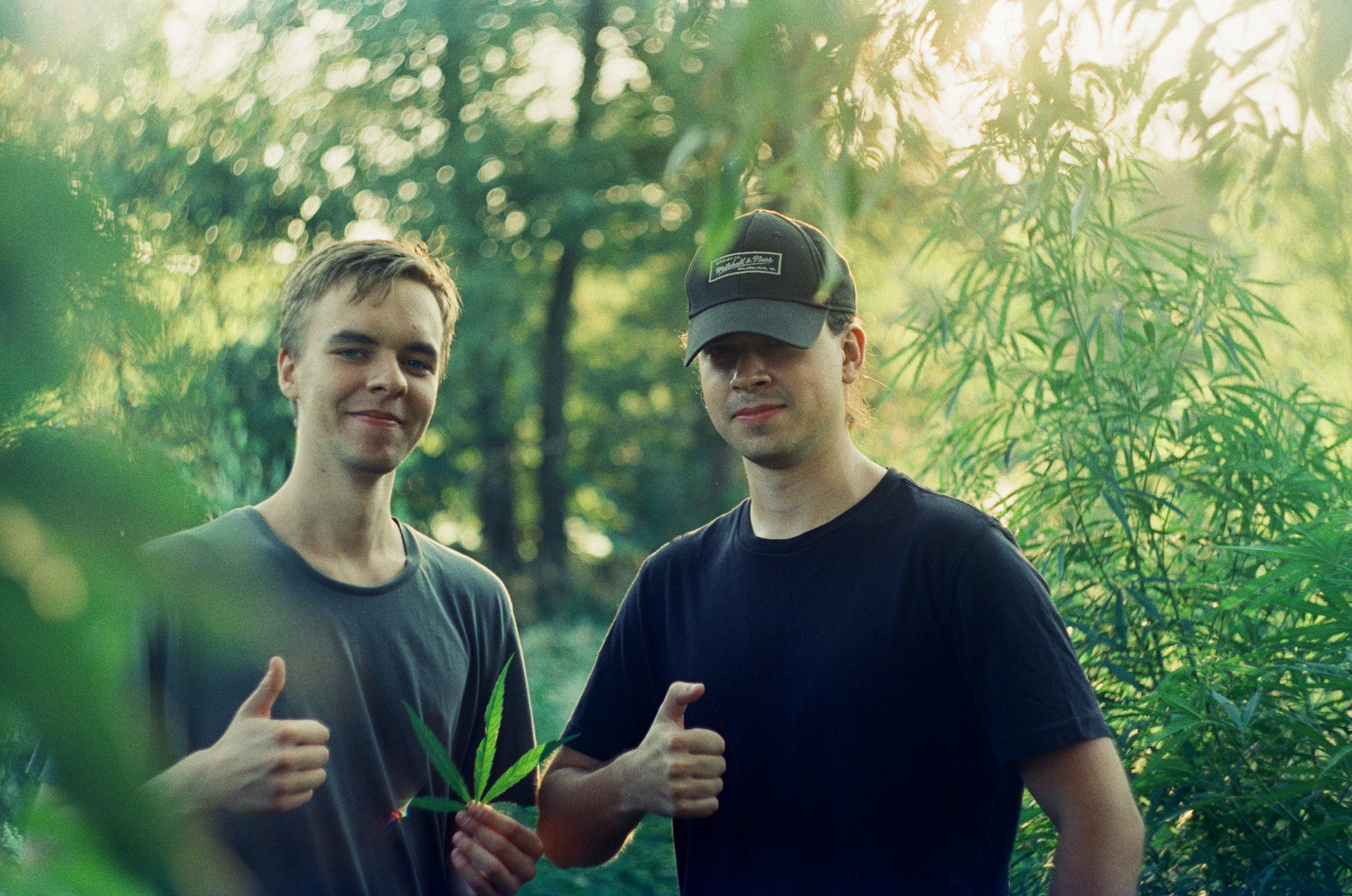 dois homens em pé um ao lado do outro em uma floresta