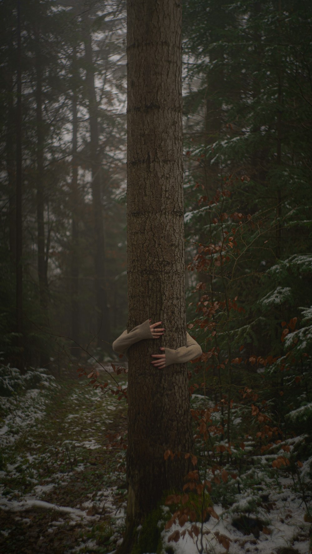 a person hiding behind a tree in the woods