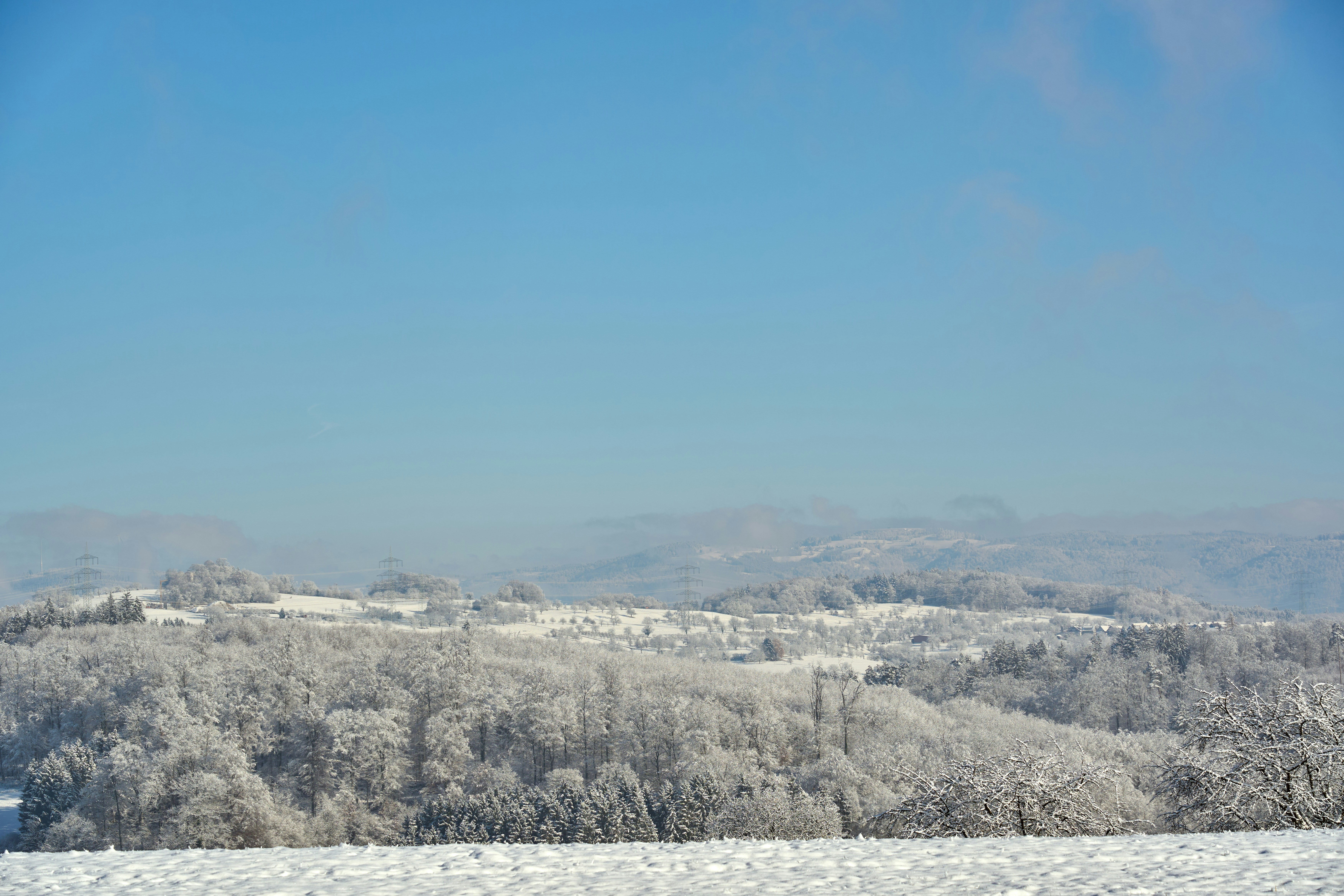 Photo by wolfgang_hasselmann