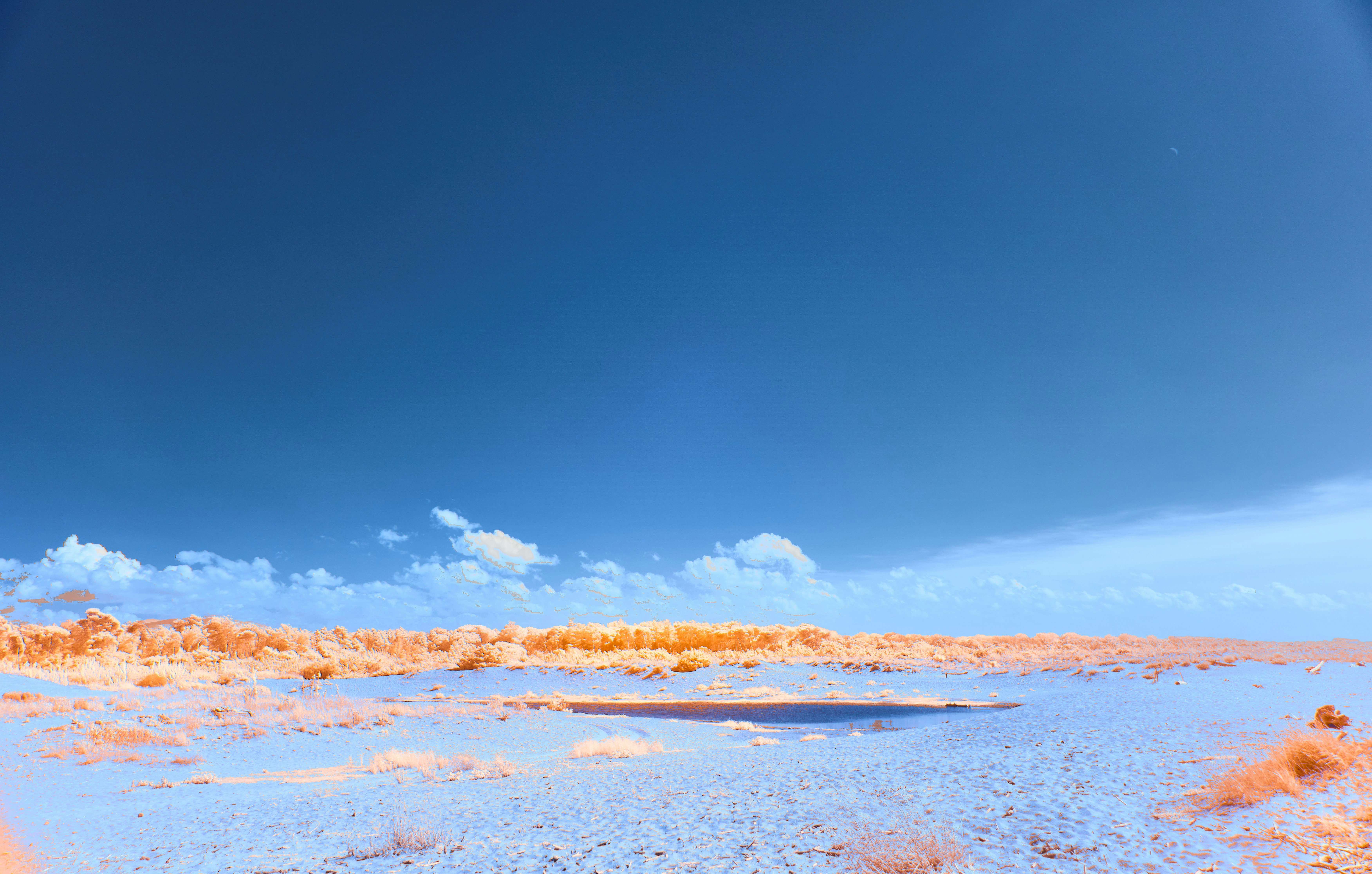 Photo by wolfgang_hasselmann