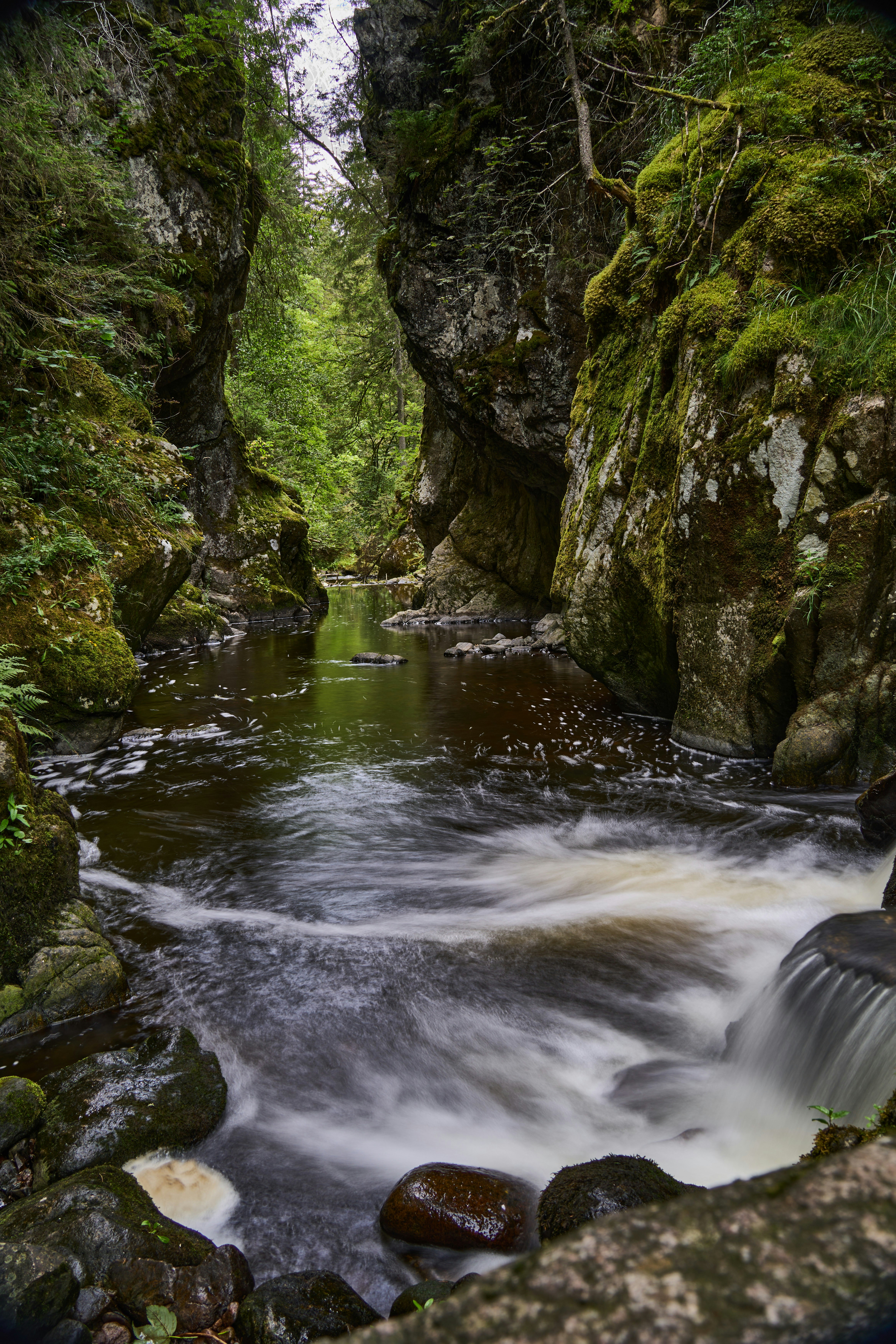 Photo by wolfgang_hasselmann