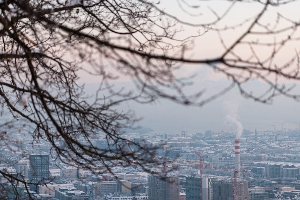 a view of a city from a distance