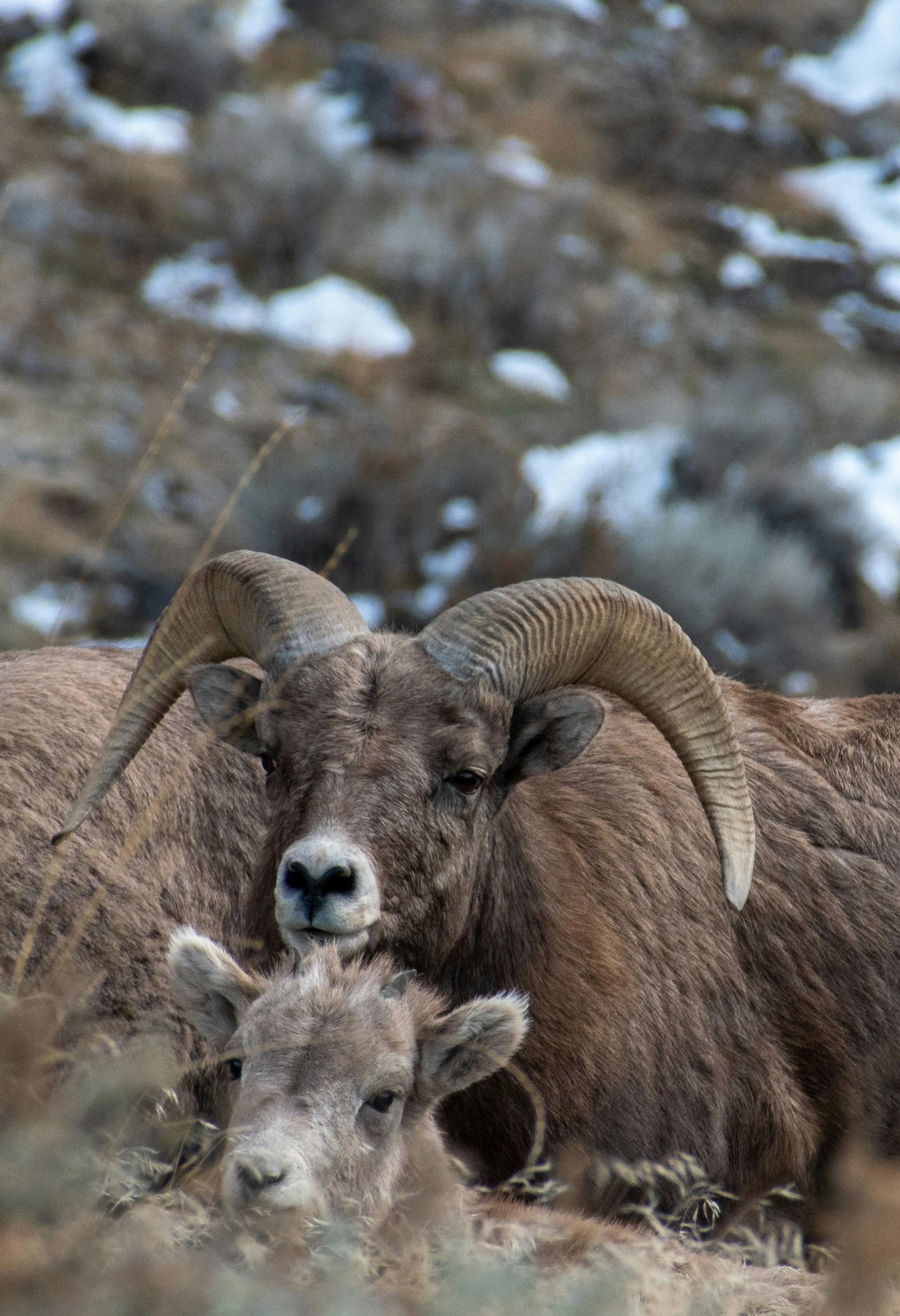 Photo by judd_nichols