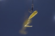 A close-up of a fishing hook baited with a worm, ready for a first catch.