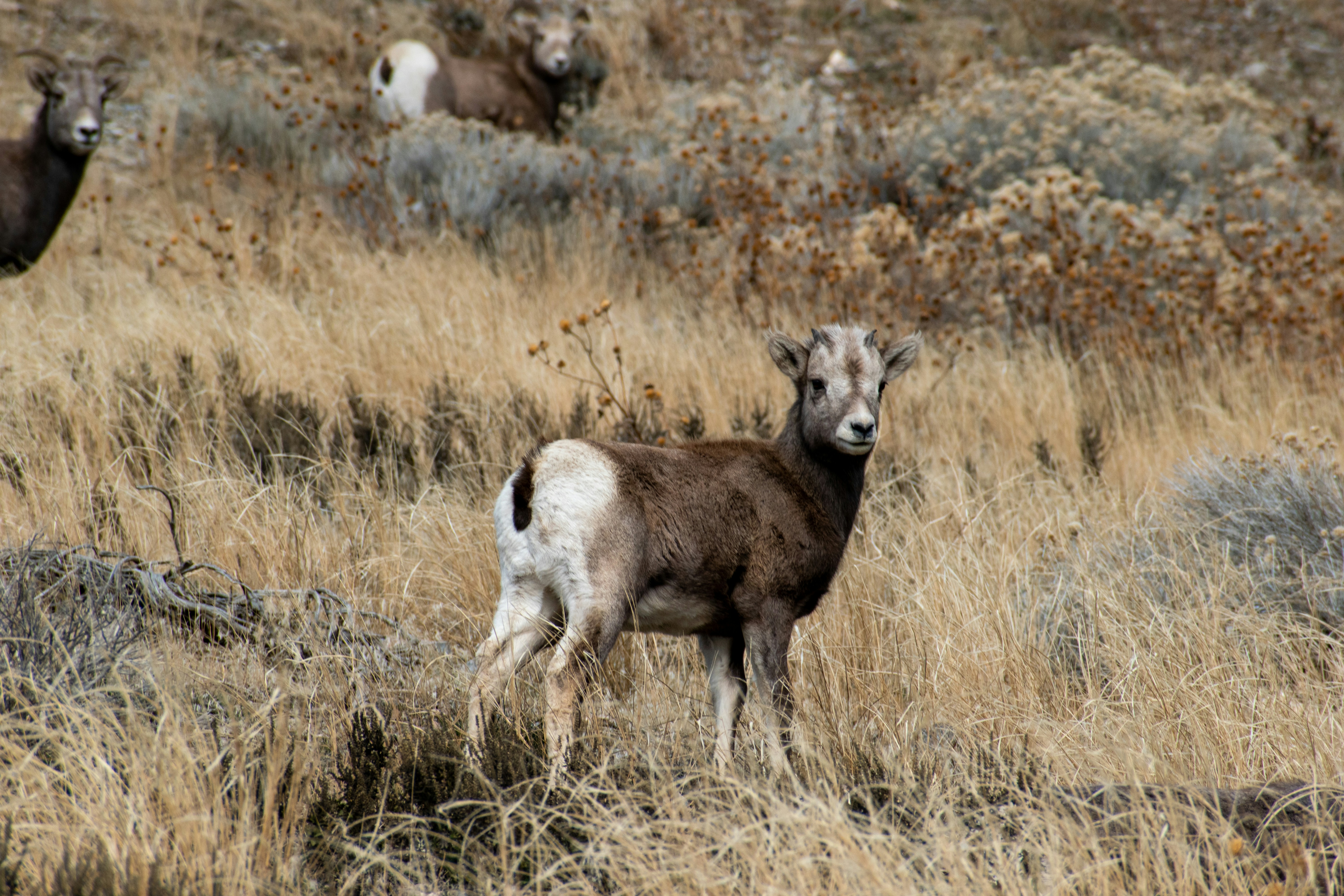 Photo by judd_nichols