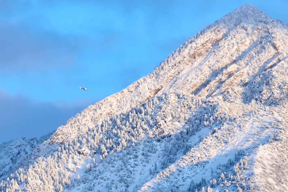 a snowy mountain with a plane flying over it