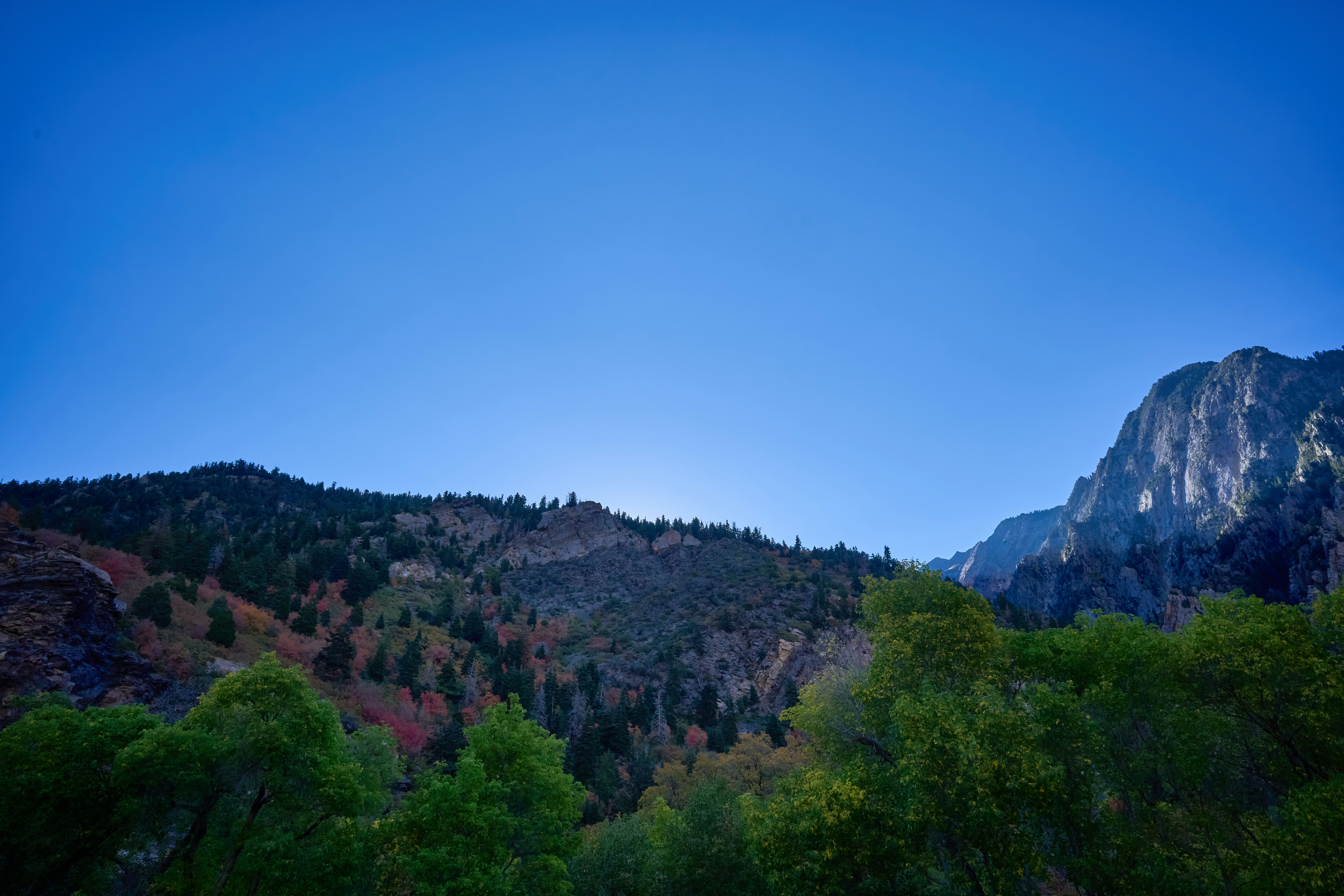 a view of a mountain with trees in the foreground, 