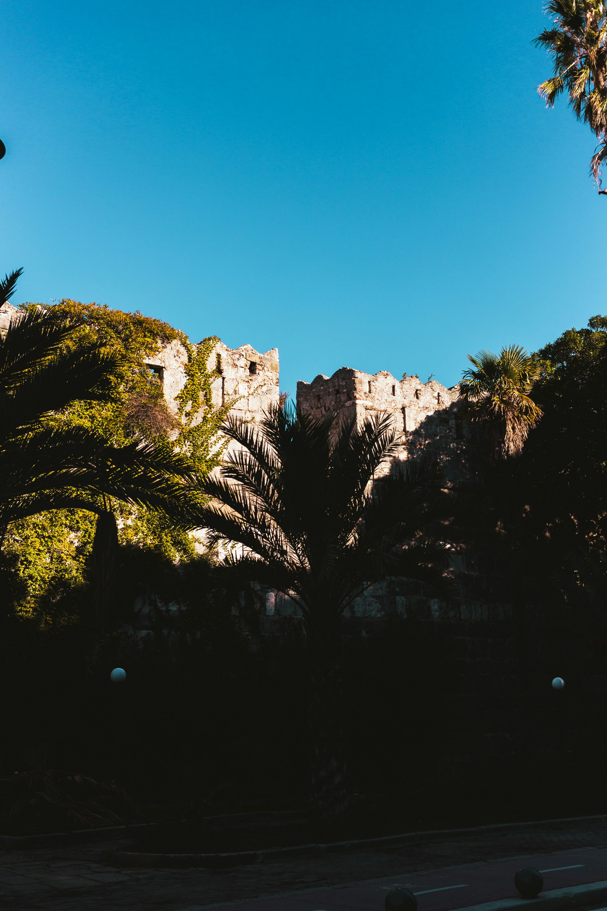 Photo by kirkphotographer