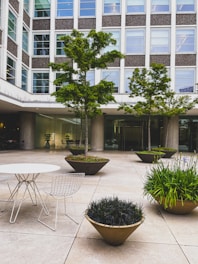 A sunlit urban courtyard with lush greenery and minimalist seating.