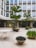An urban courtyard featuring modern architecture with large windows and a clean, minimalist design. The space includes several planter pots with green plants and trees, as well as a white metal table and chairs. The surroundings indicate a calm and organized atmosphere, likely part of an office or commercial building.