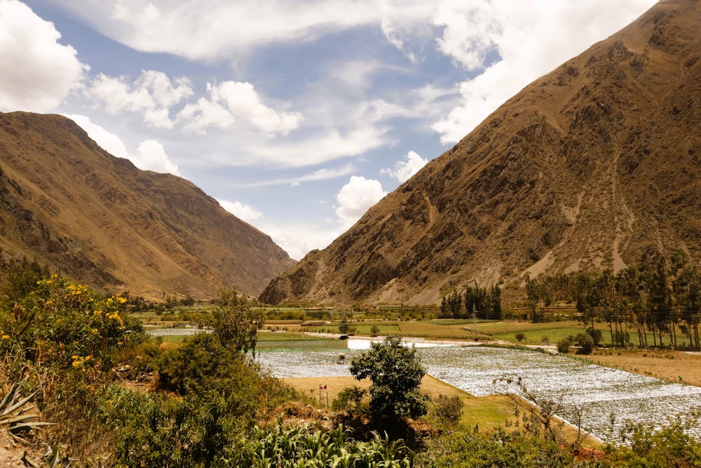 a river in a valley with mountains in the background