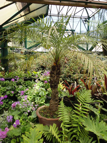A diverse group of researchers collaborating in a bright greenhouse filled with various fruit plants.