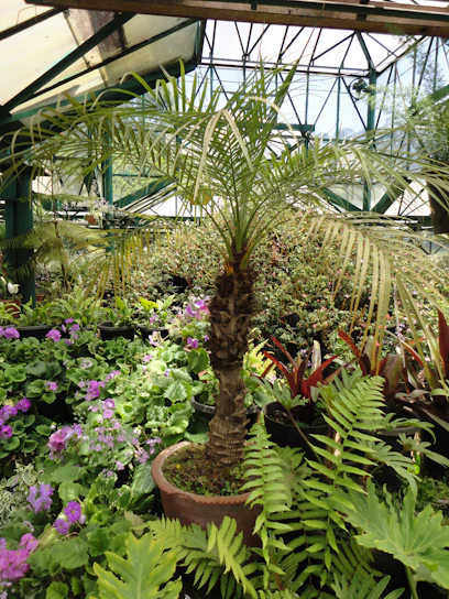 A diverse group of researchers collaborating in a bright greenhouse filled with various plants.