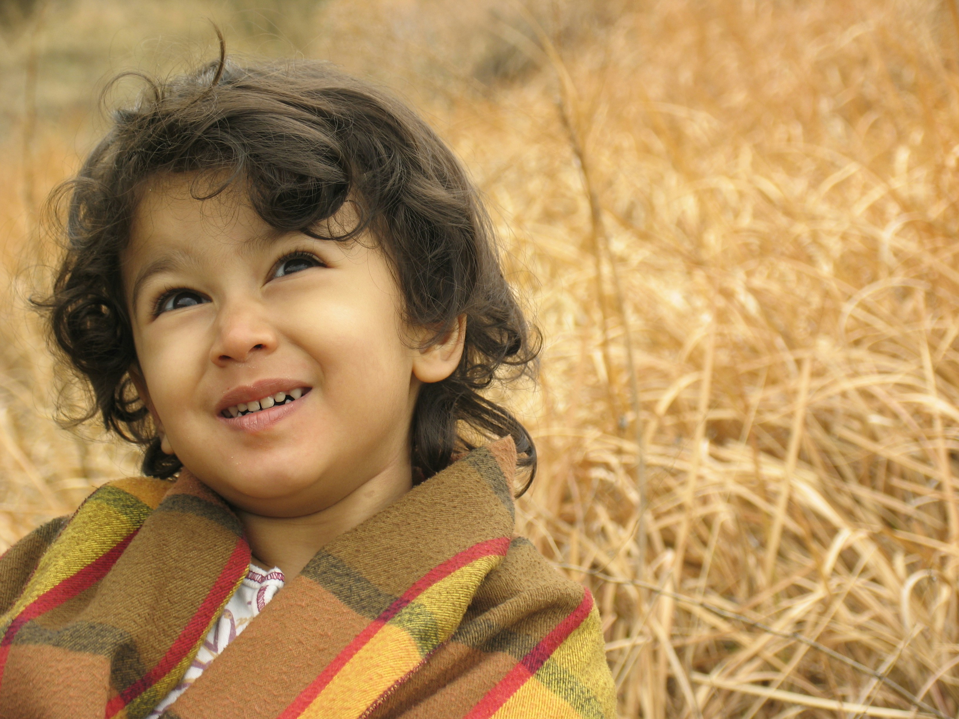 Photo by alimousavi1400