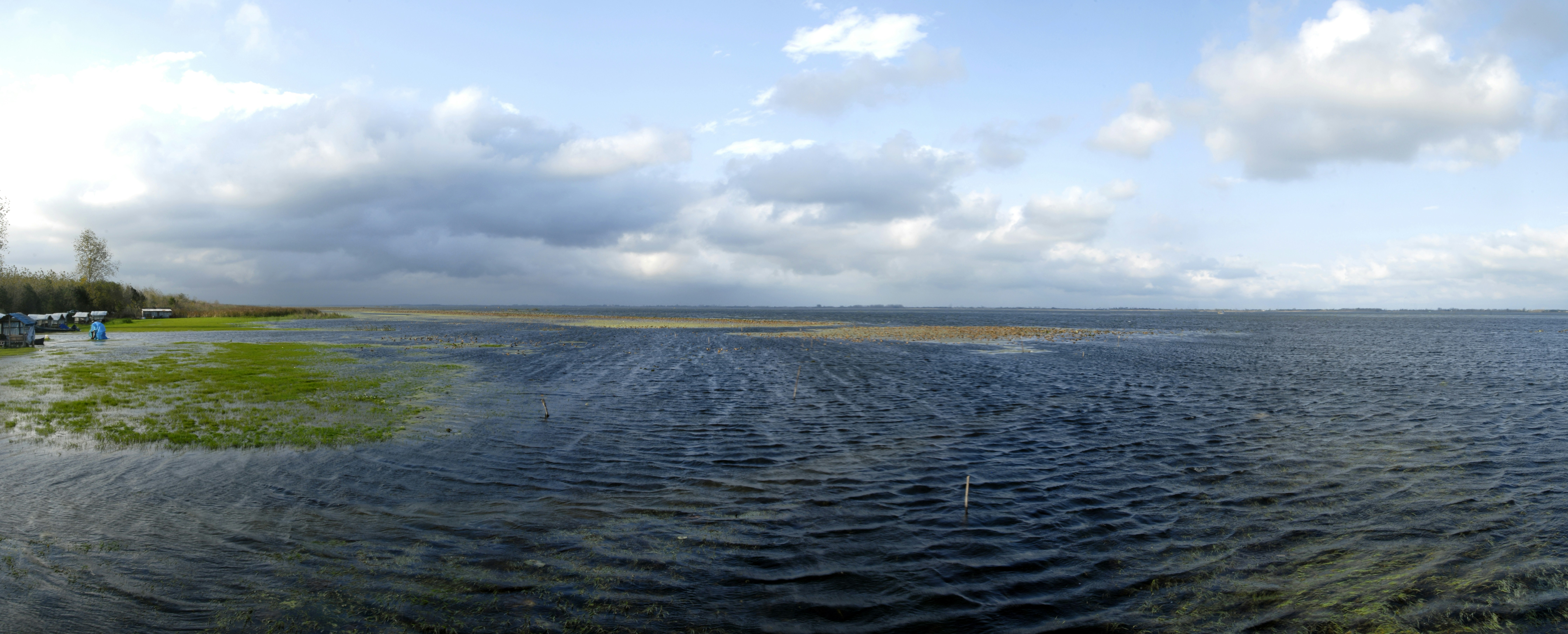 a large body of water surrounded by grass, 