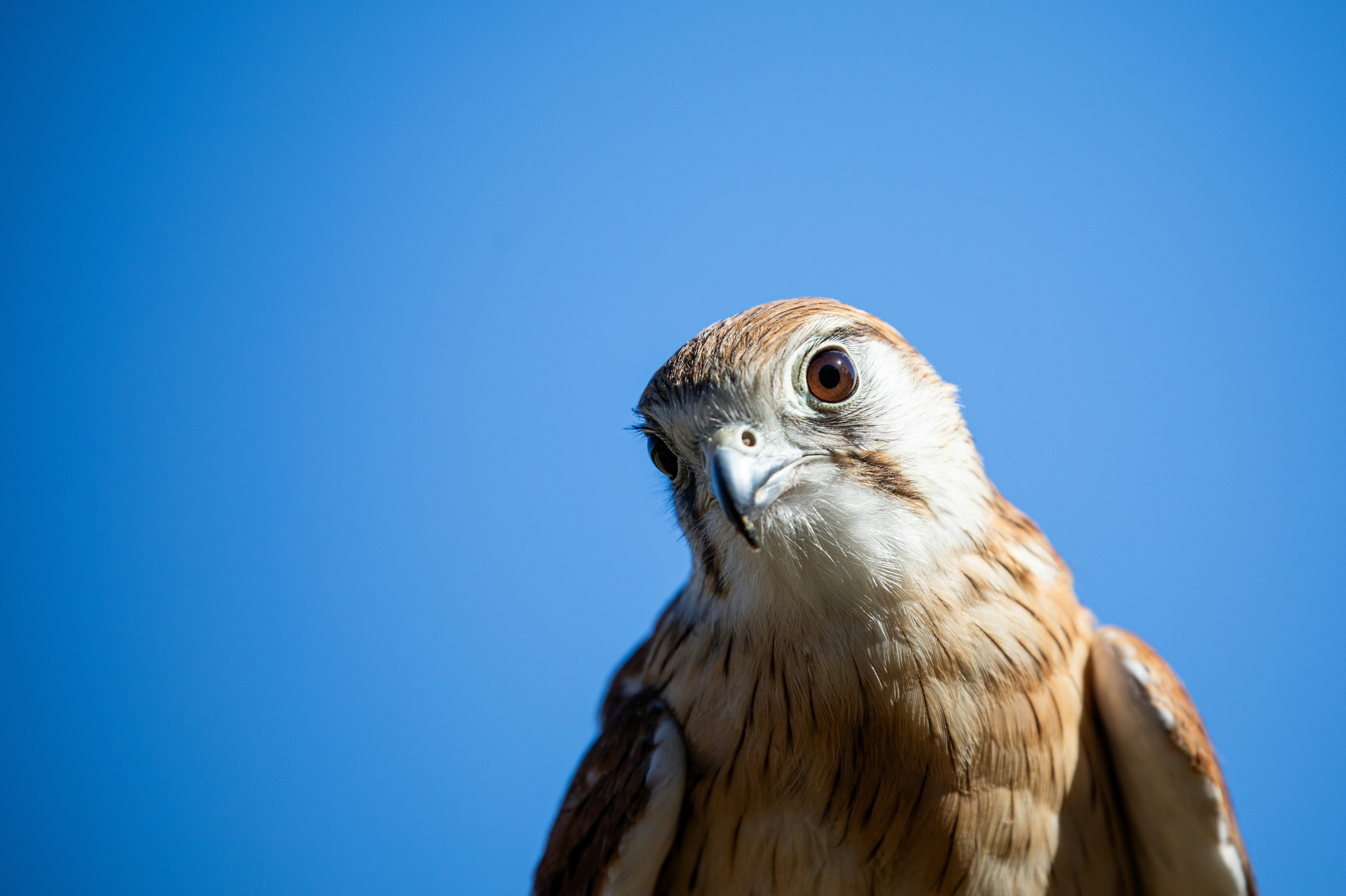 Photo by feliciasutjahjo