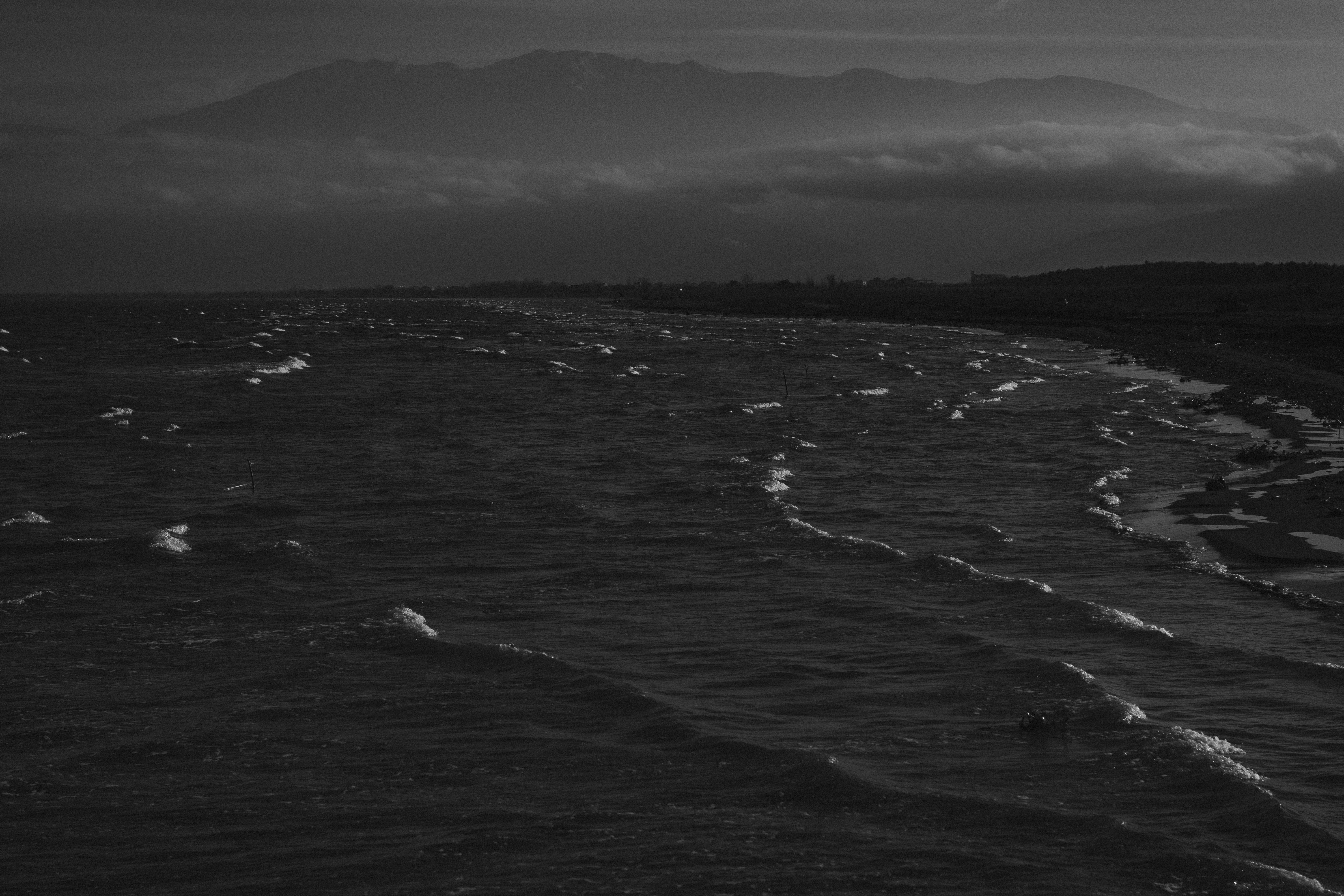 Photo by amirreza_momennia