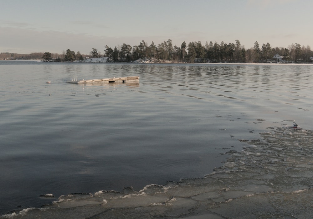 a boat floating on top of a lake next to a forest