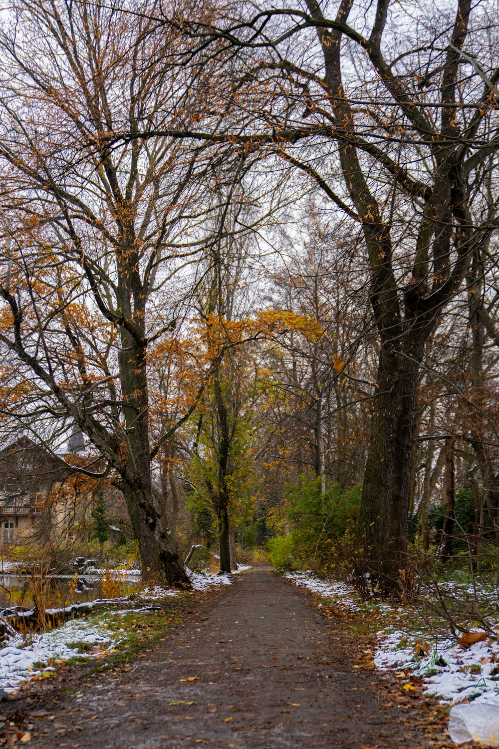 eine unbefestigte Straße, die von schneebedeckten Bäumen umgeben ist