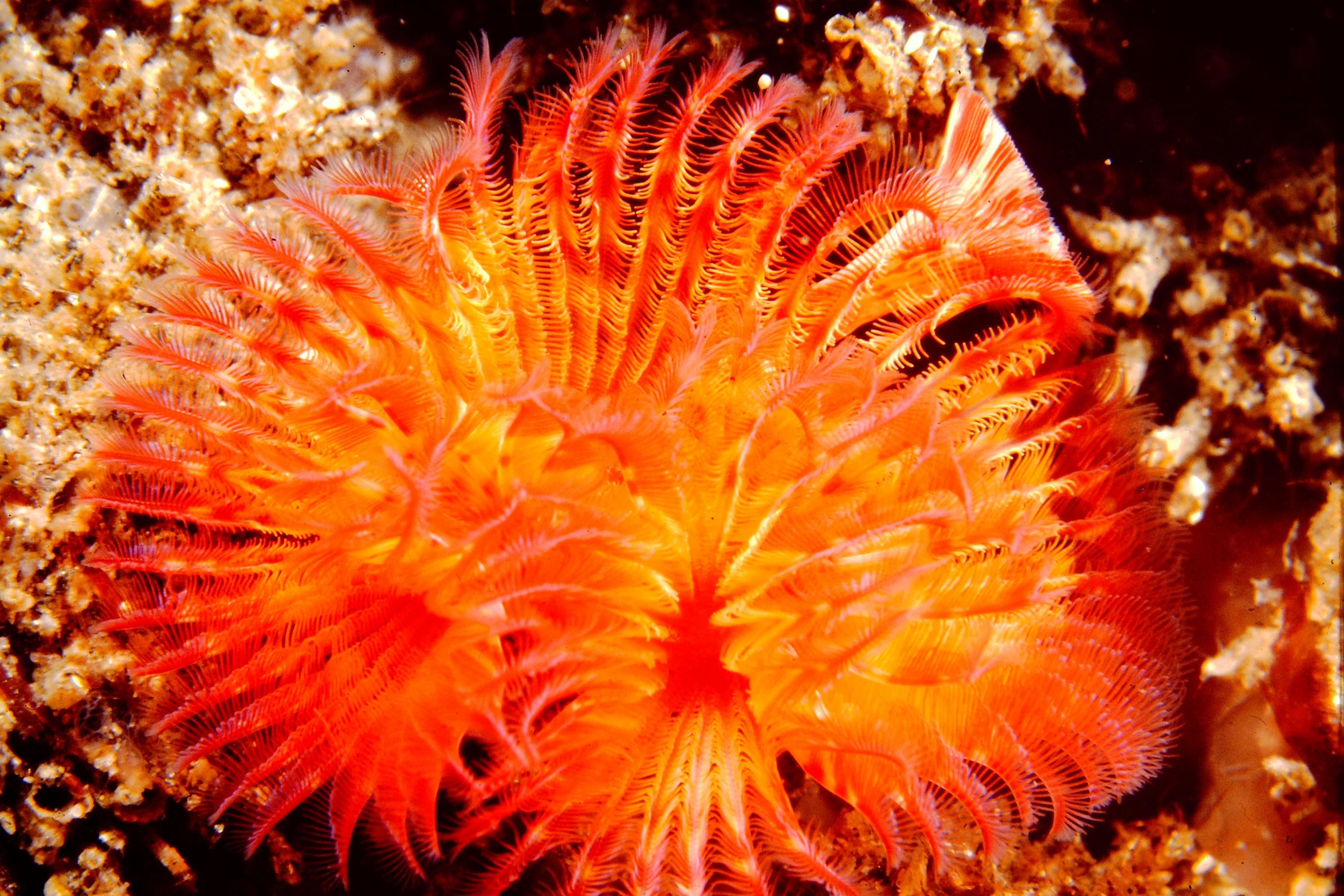 Photo by as_i_find_it